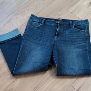 Liverpool Jeans Company Indigo Denim Pants